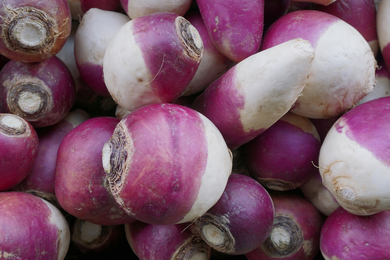 Turnips at the Farmers Market
