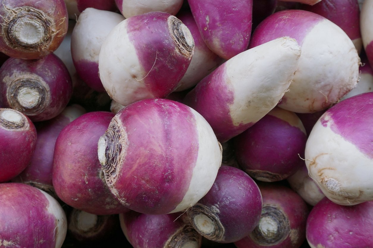 In Season Now: Green Garlic - Good Food Revolution