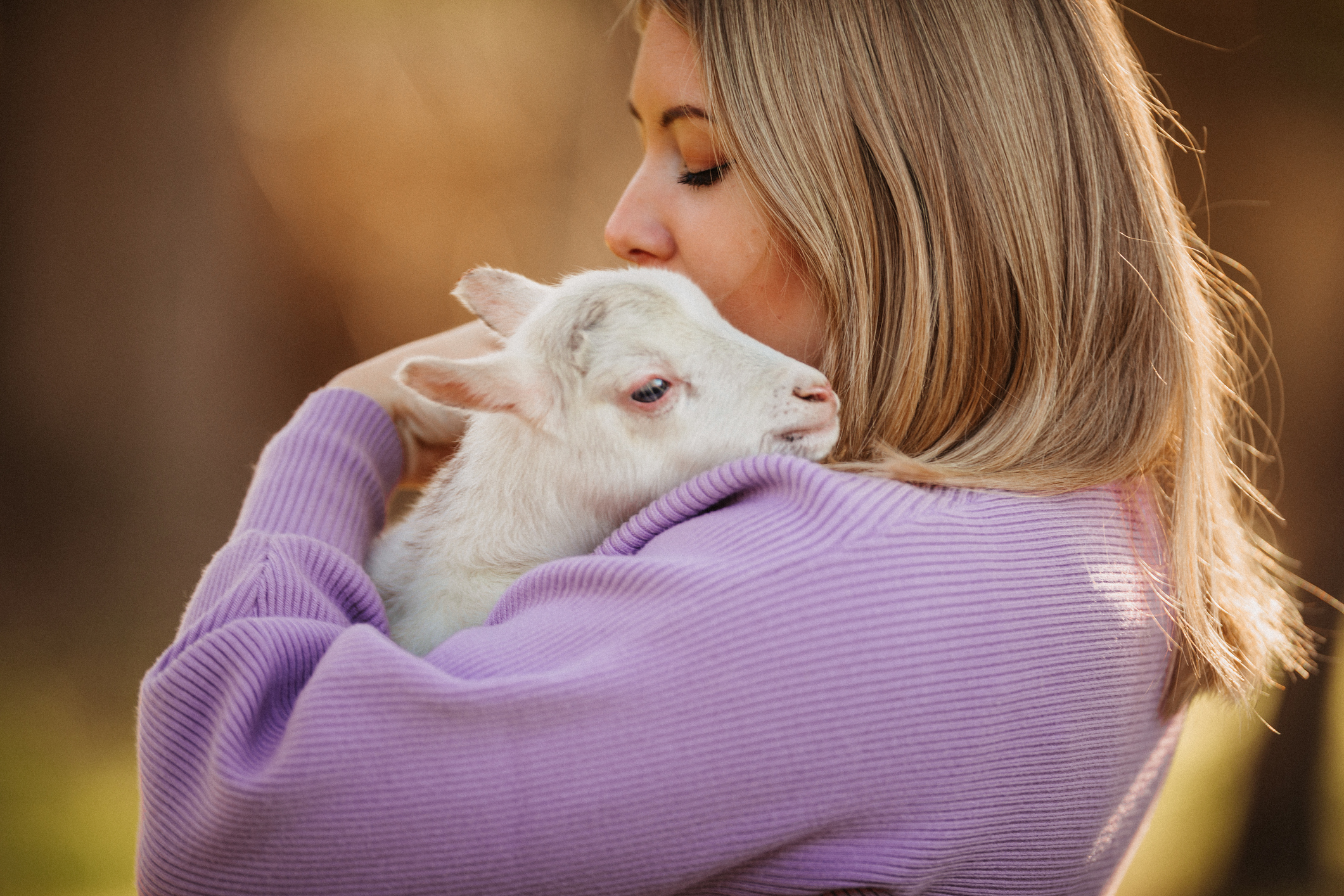 Beautiful young blonde woman cuddling with a newborn four hour old small lamb. Very selective and soft focus. Grain added.