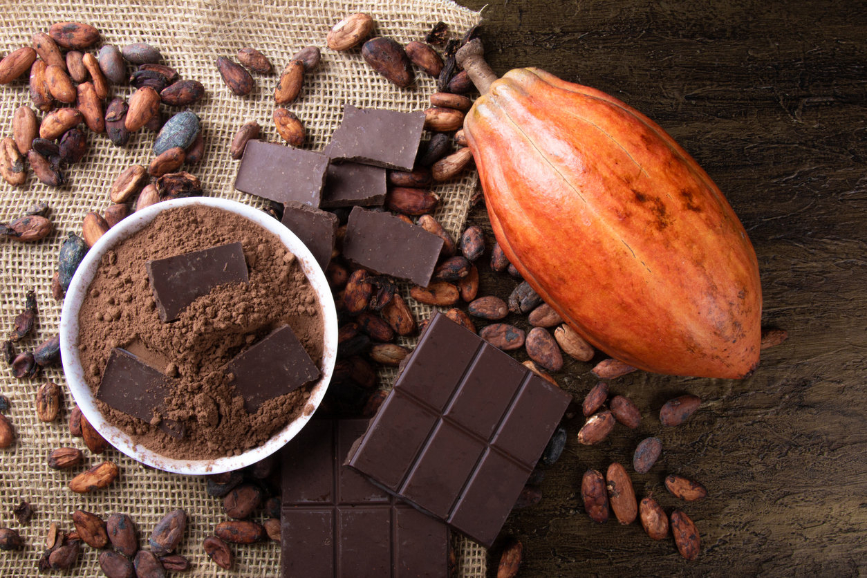 可可果實與巧克力碎片和可可粉在生可可豆上的細節