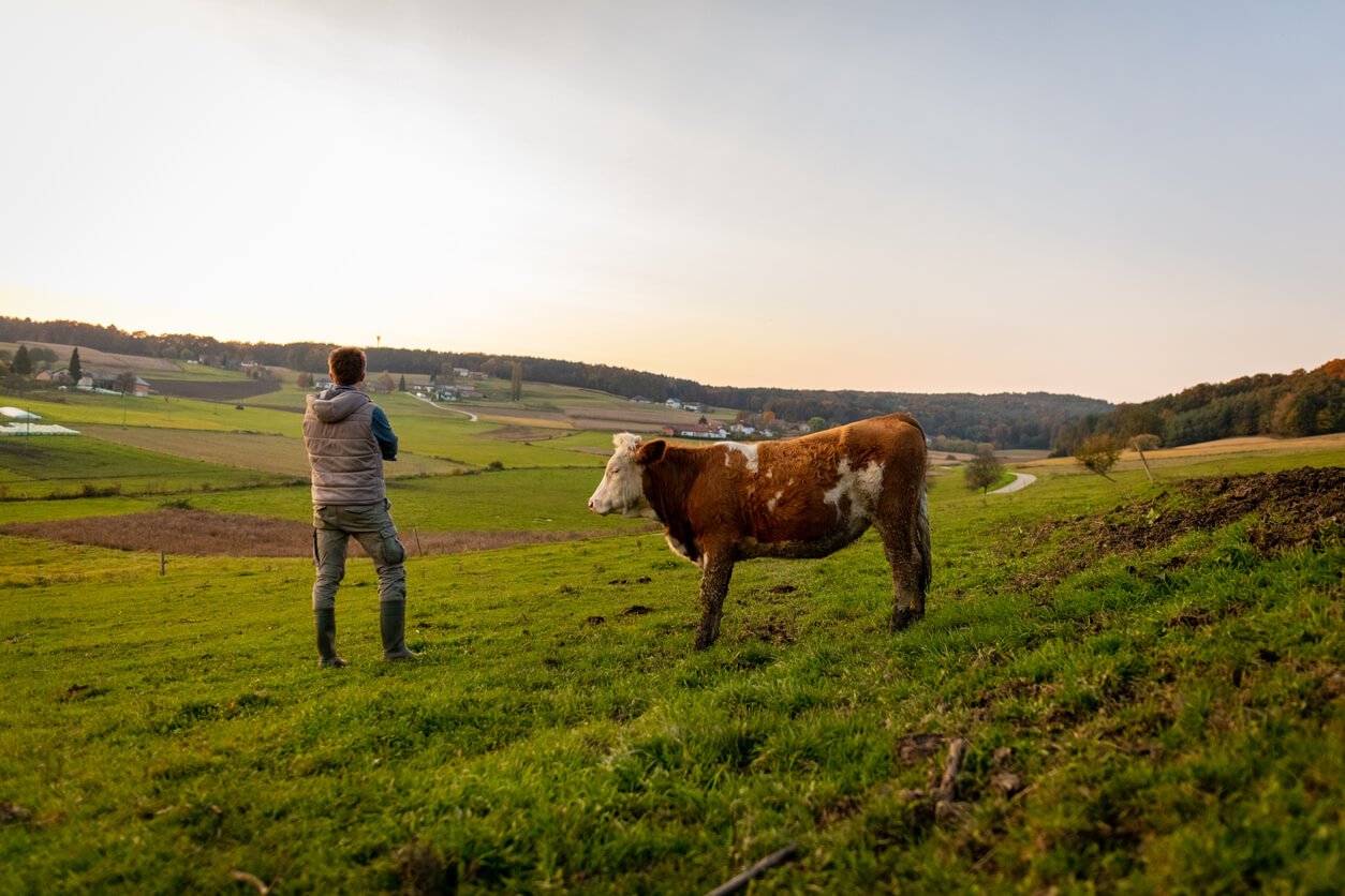 young man standing with cow in field