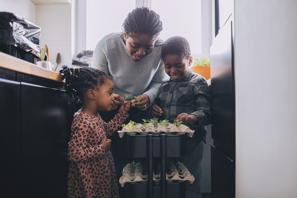 Close up shot of an African-American mother, daughter and son planting seeds in the egg carton as part of an eco-friendly family bonding activity in the kitchen at home.