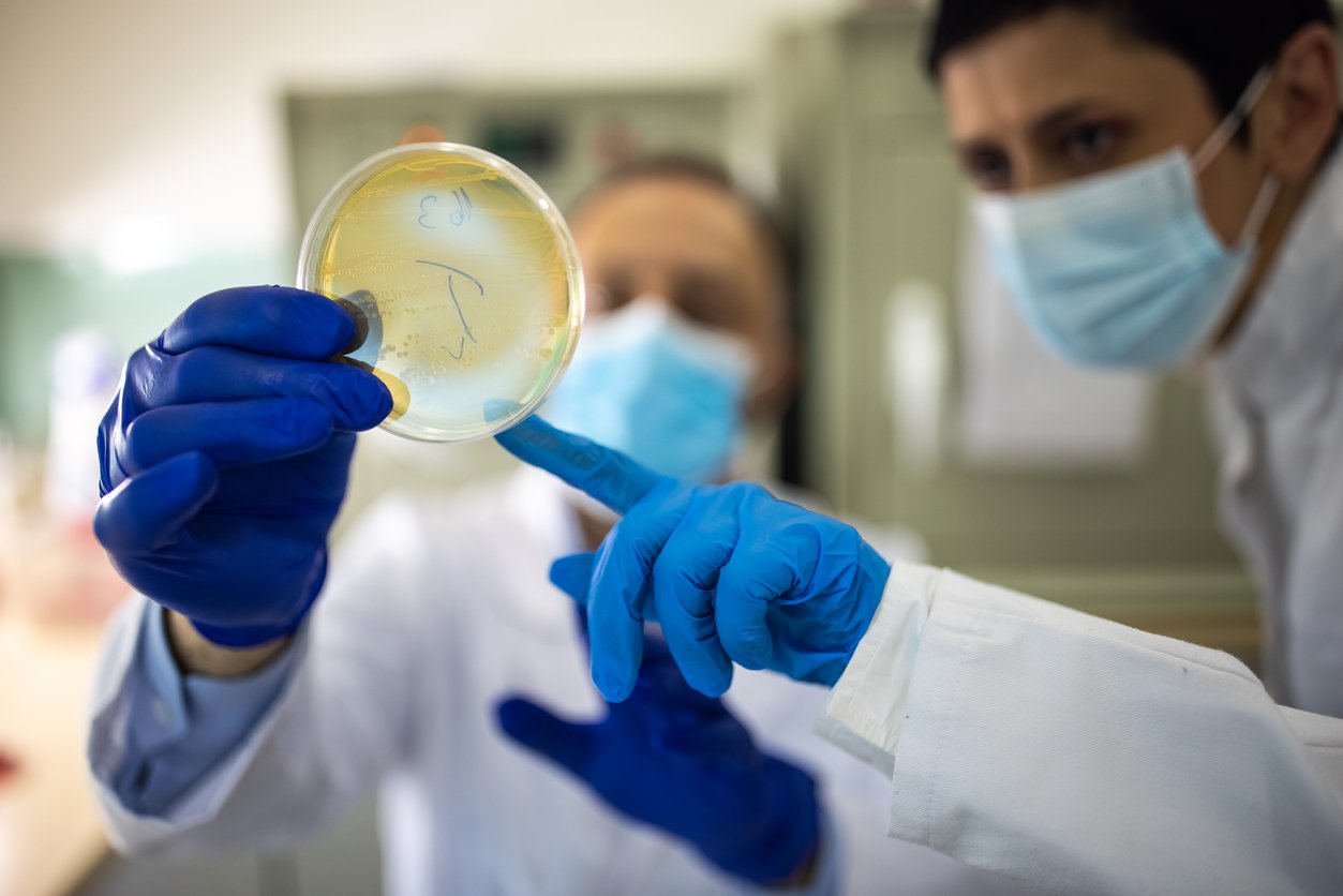 Two microbiologists with protective face masks looking at Petri dish in laboratory, focus on Petri dish