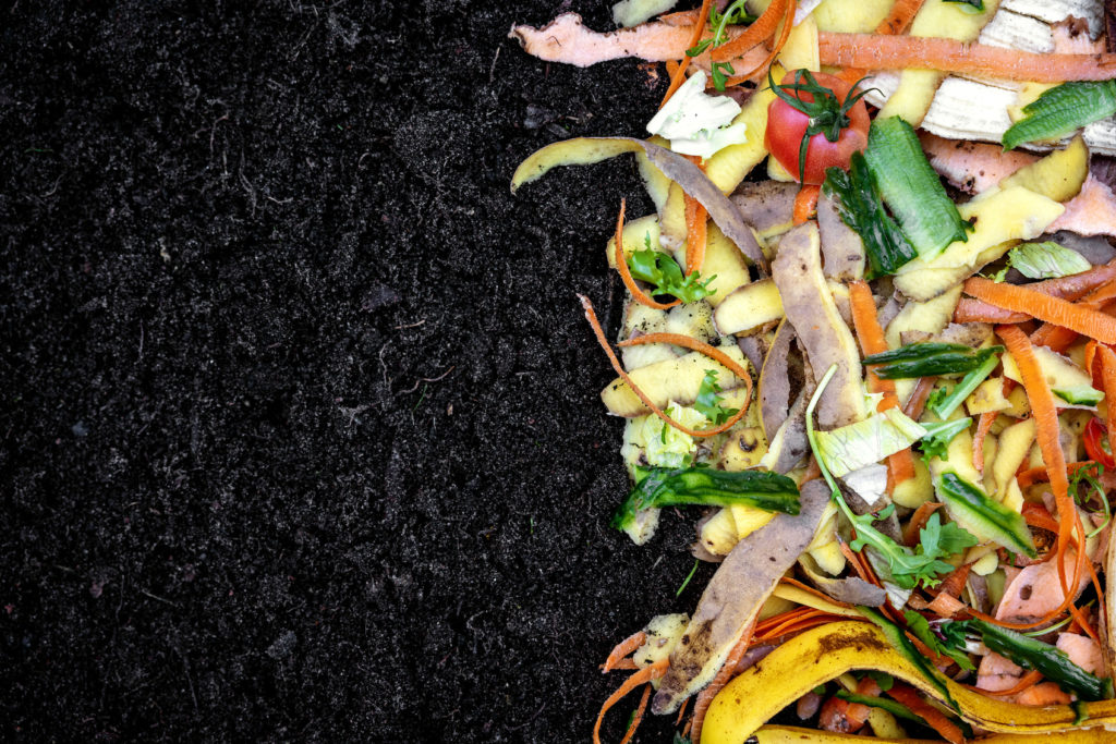 Kitchen scraps for composting