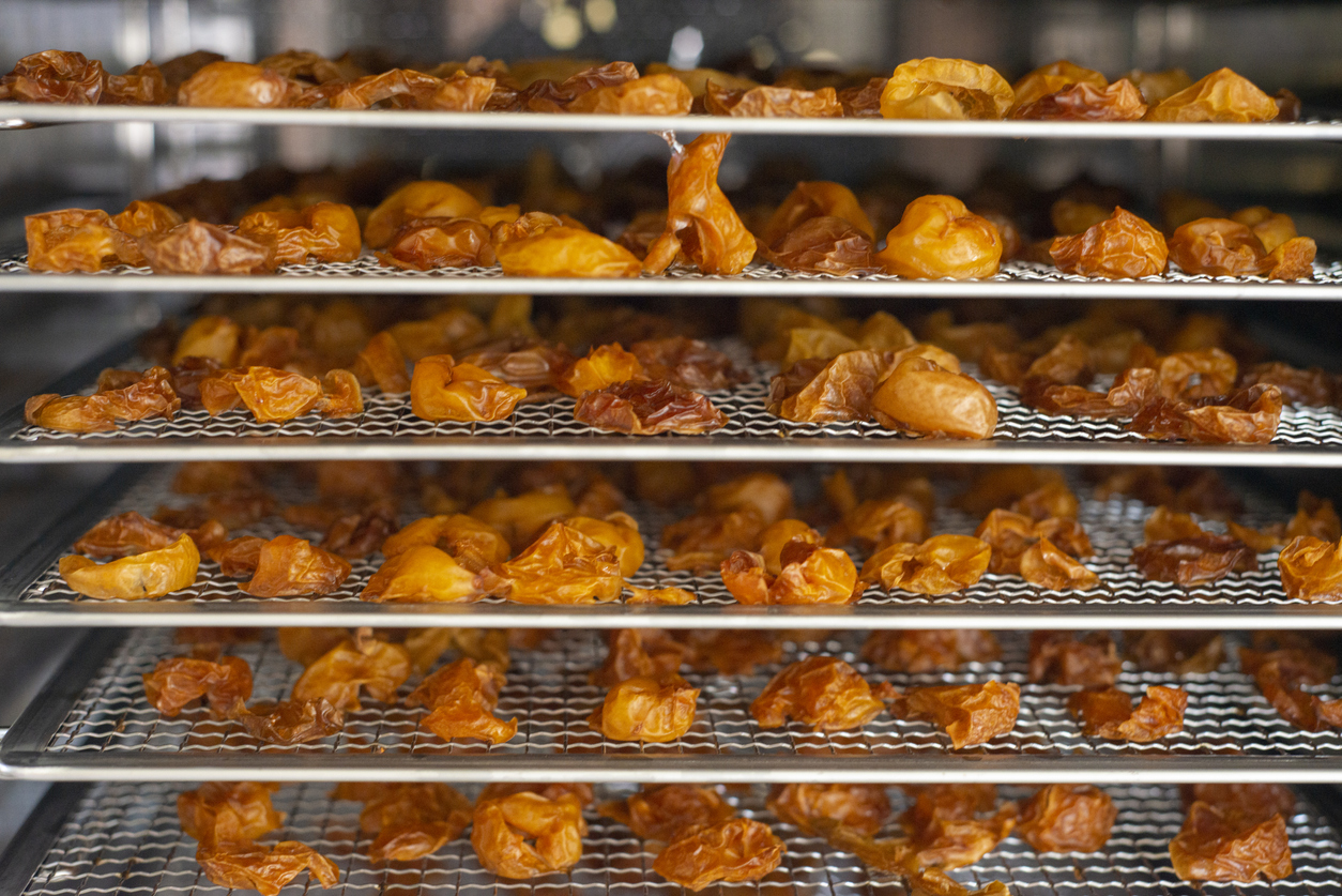 Dehydrating Mirabelle plums