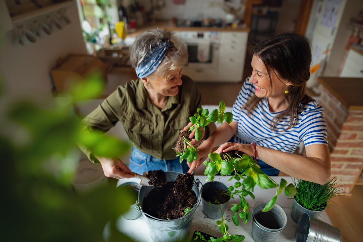 high angle view of happy senior mother with adult daughter indoors at home planting