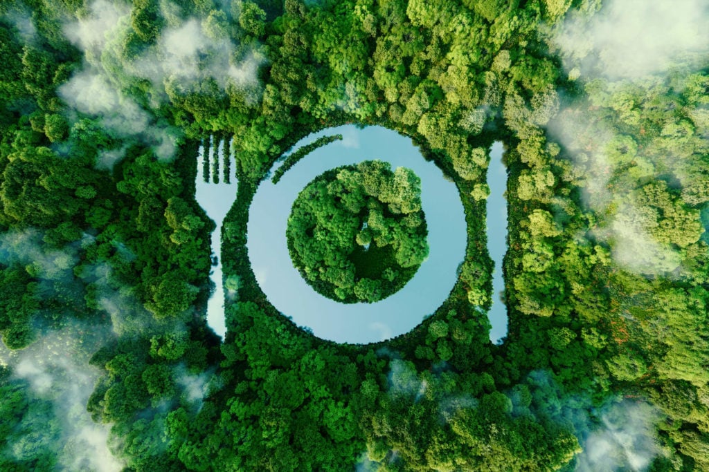 Plate and cutlery on a green forest background
