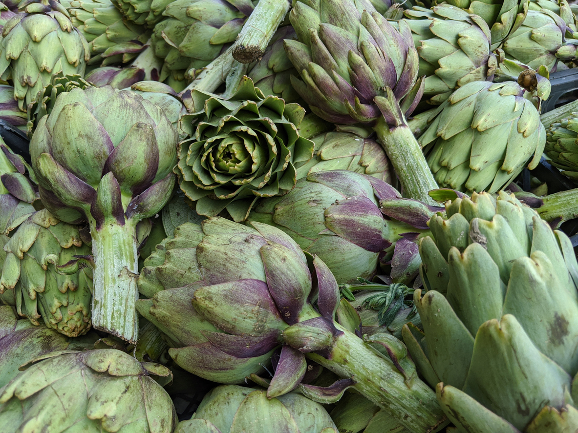 Artichokes pile close up background. Natural artichoke flowers vegan raw fresh food.