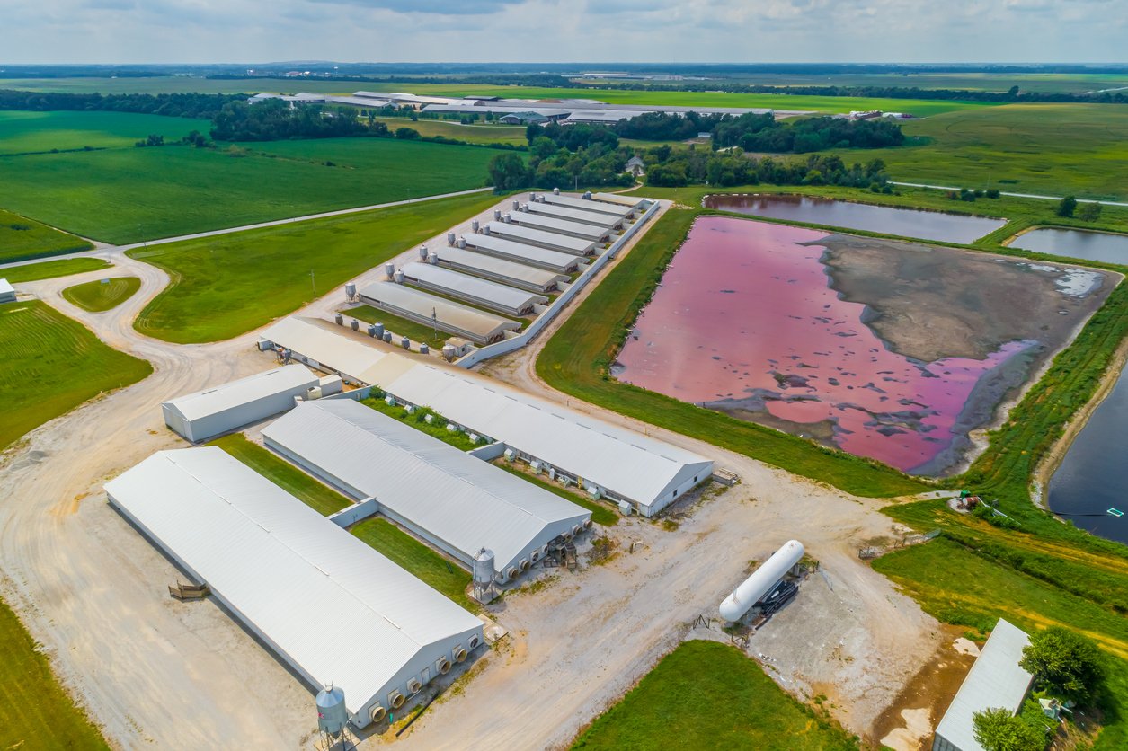 Aerial Overhead Image of a Concentrated Animal Feeding Operation and manure pits