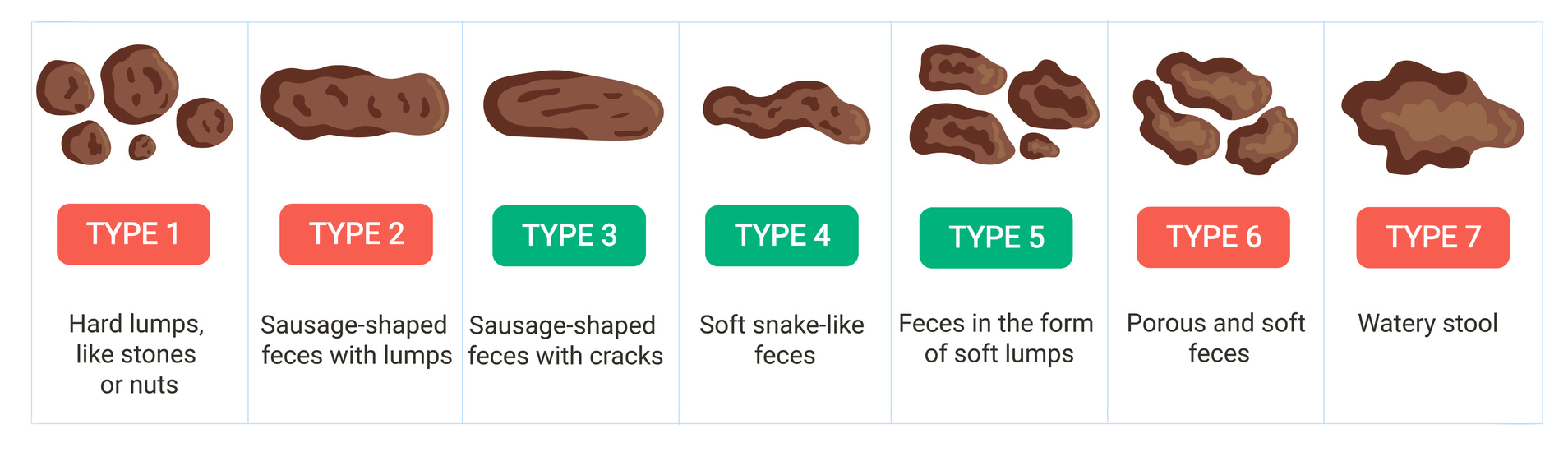 Bristol stool chart with description