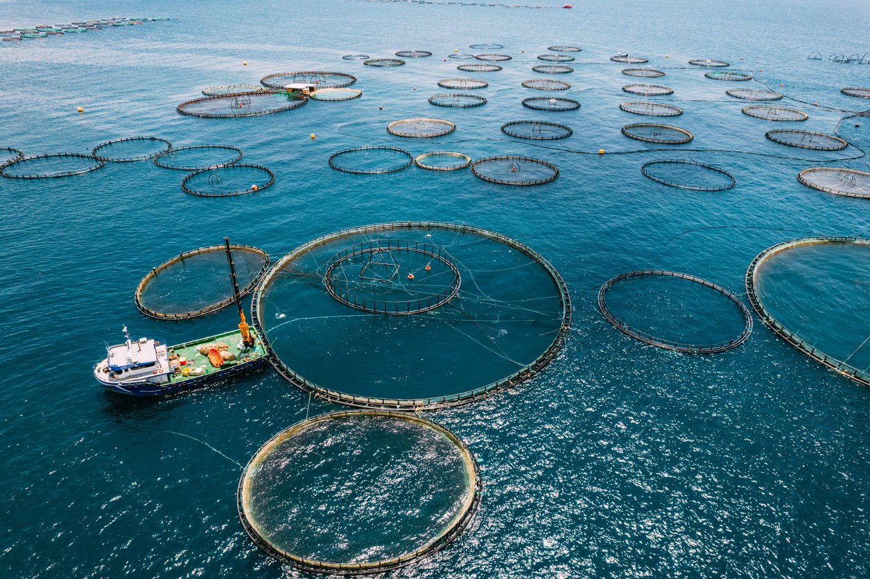 Drone View Fish Farms in the Sea