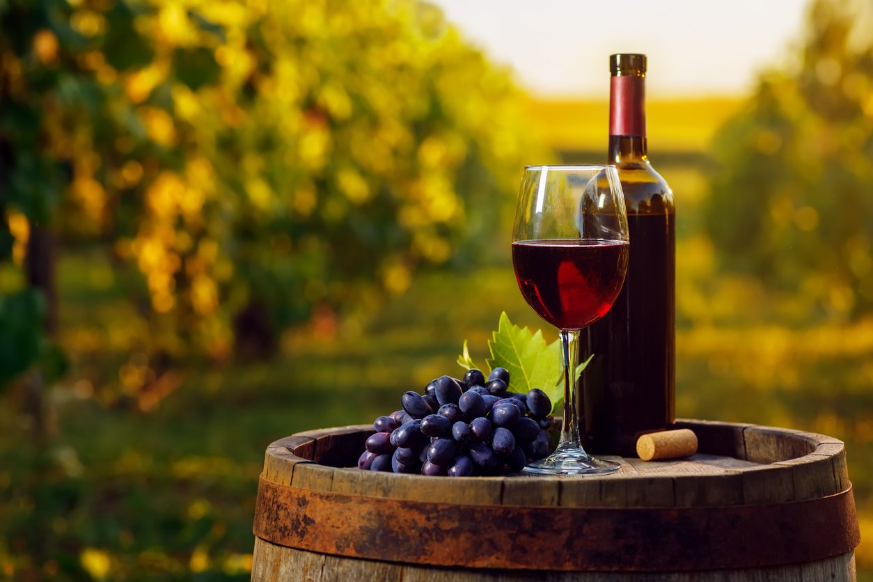 red wine in glass and ripe grape on old wooden barrel with vineyard on the background