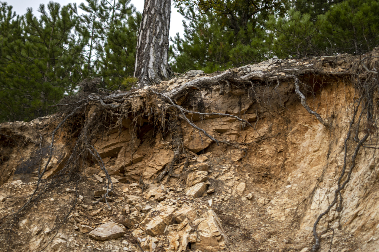 Erosion to nature