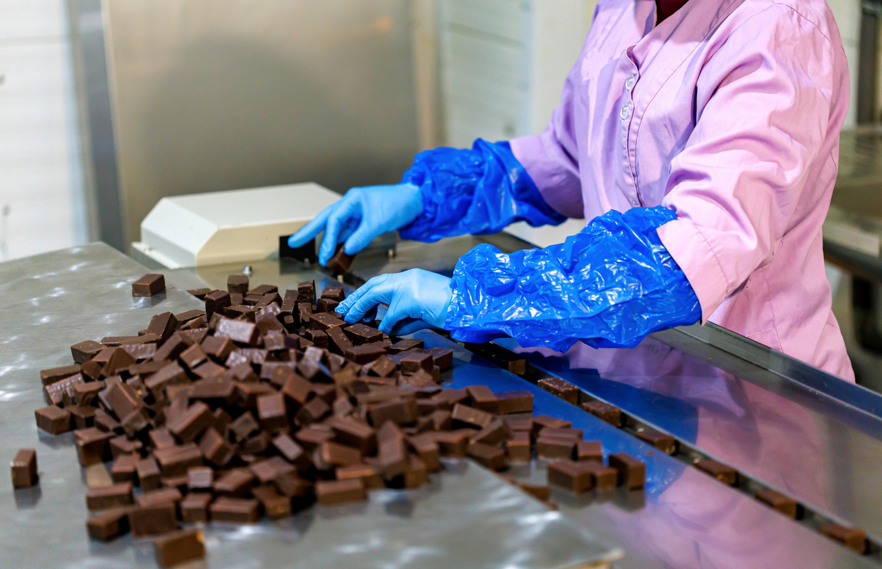 Close up of female worker hands sorts chocolate candies line production at factory