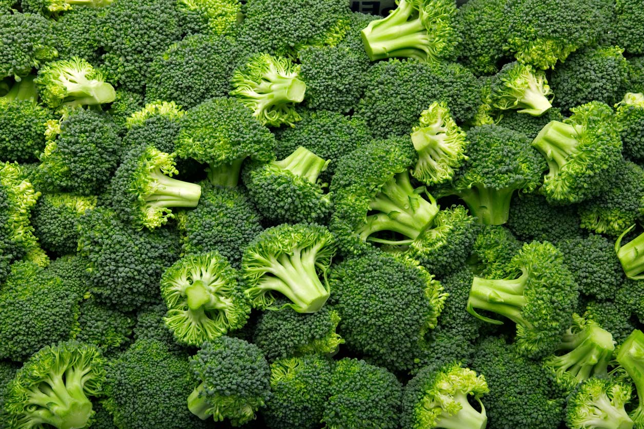 Clean 15 - Broccoli