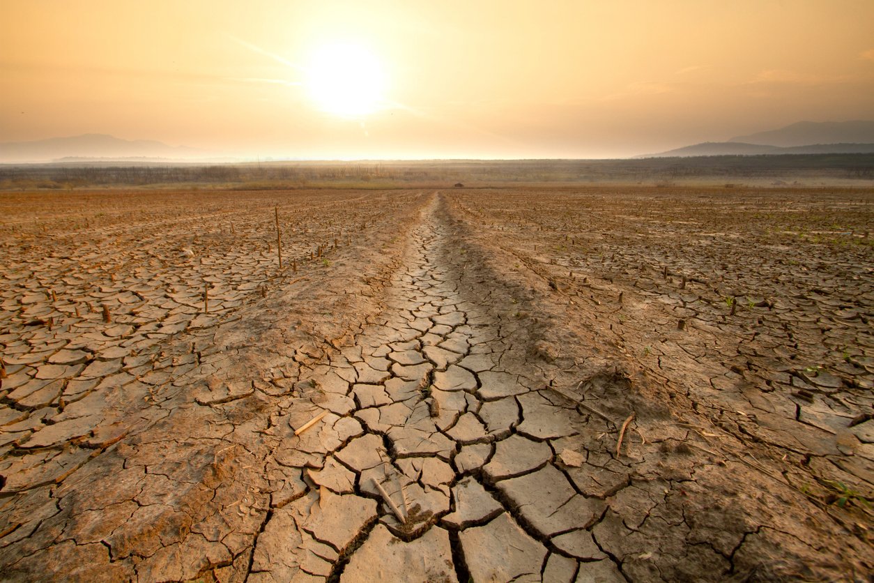 Canal middle agricultural dry by drought and heatwave on summer. water crisis and water stress on summer during long term drought on summer.