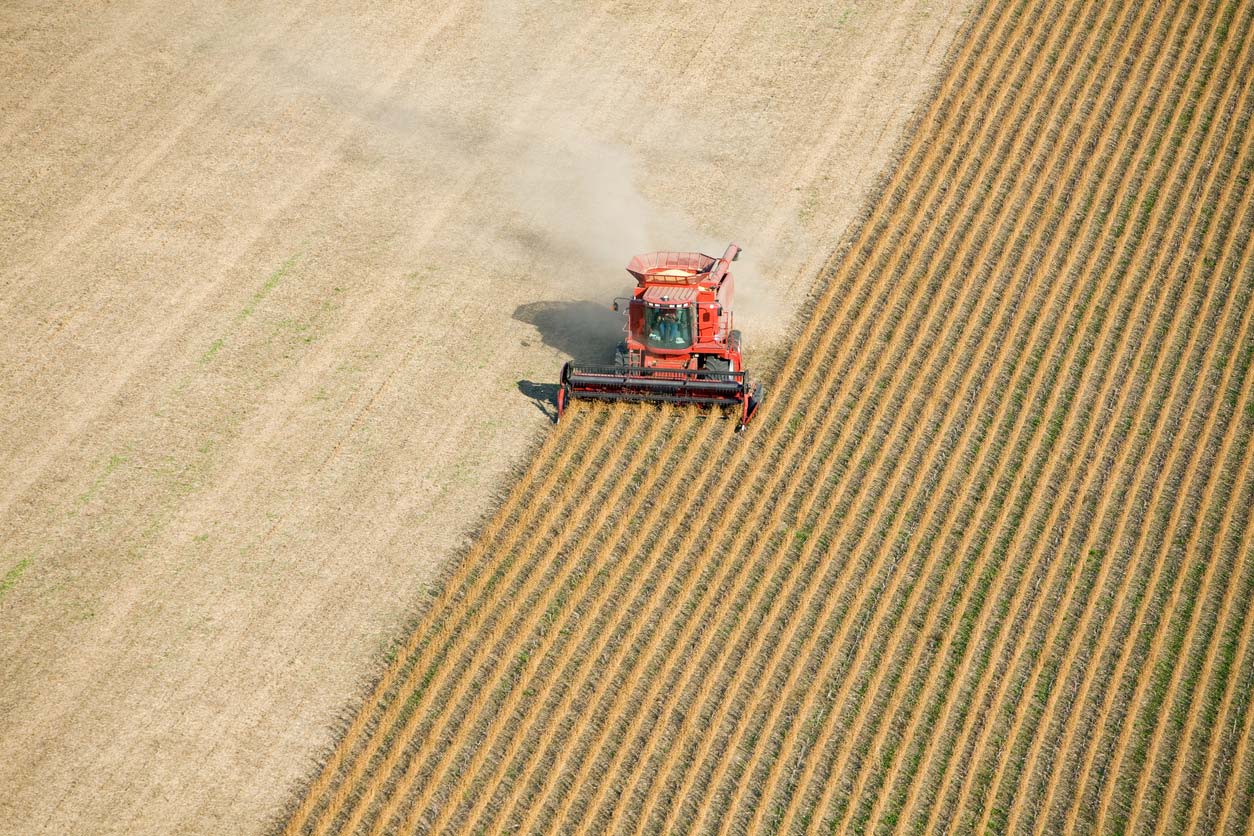 tractor harvesting soybean field