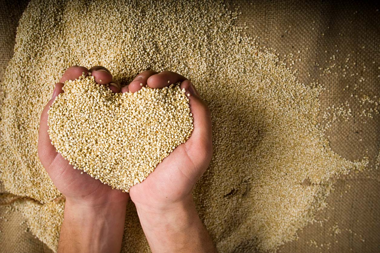 hands in heart shape holding quinoa