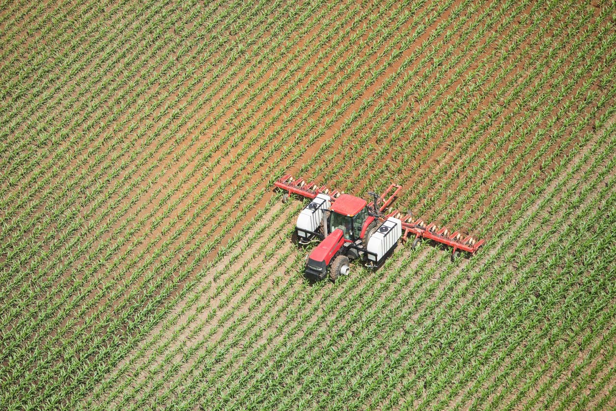 Tractor fertilizing corn field with chemicals