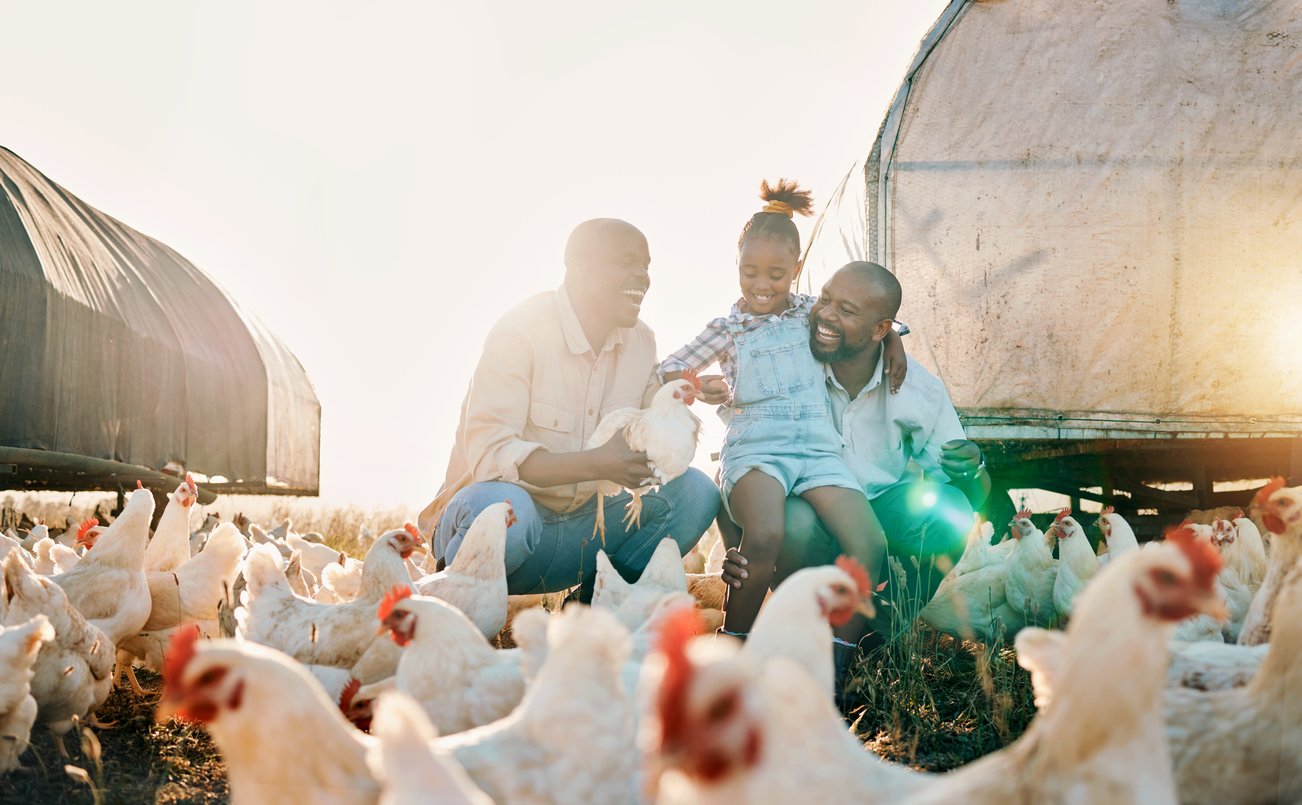 Agriculture, chicken and gay parents with girl in countryside for holiday, adventure and vacation. Lgbtq family, sustainable farm and fathers with child for bonding, relax and learning with animals