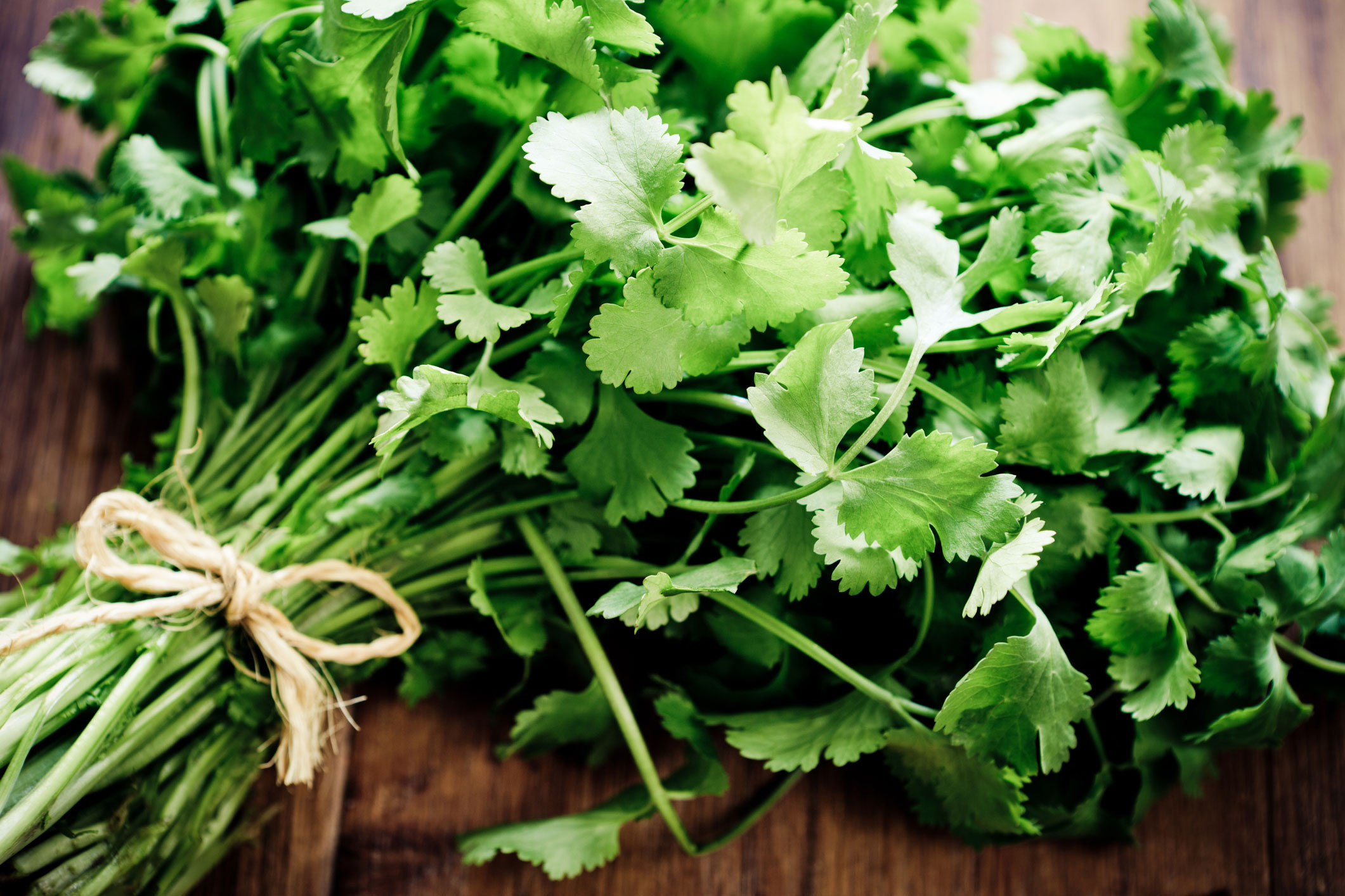 Top heart healthy foods: coriander