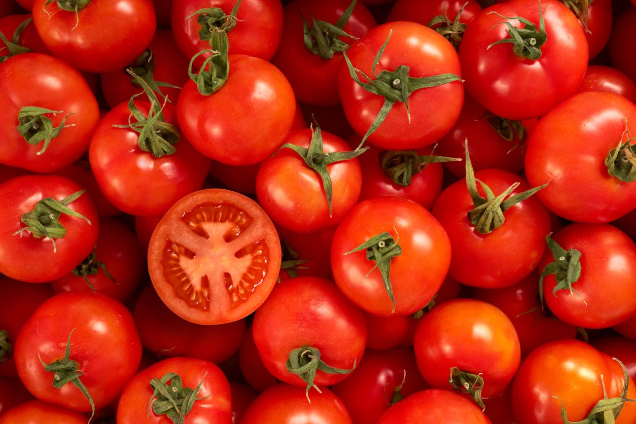 Dirty Dozen - Tomatoes