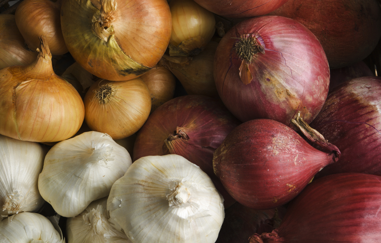 Onions and Garlics Variety of Onion Family Vegetable Crop