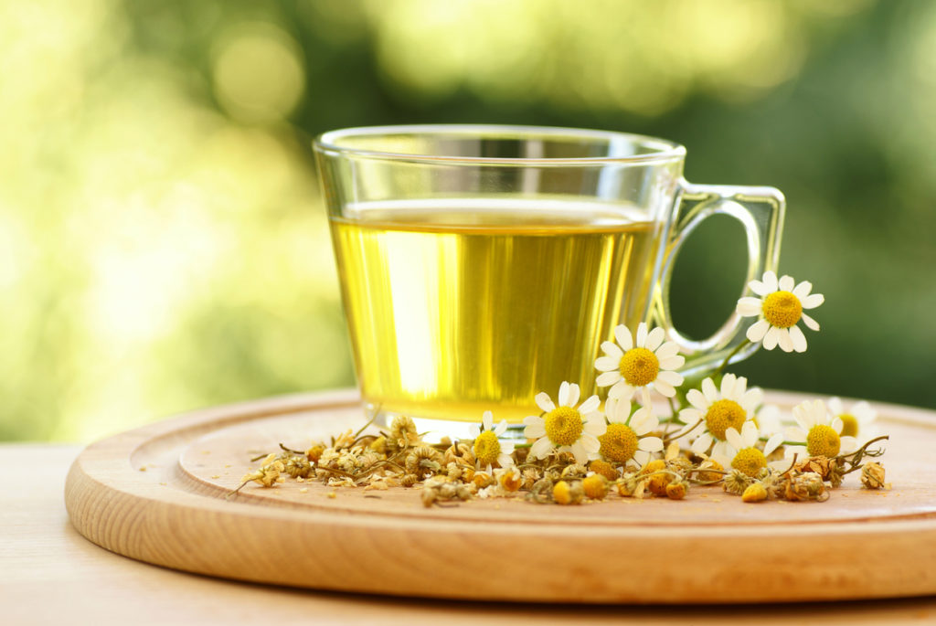 Chamomile tea with dry and fresh chamomile