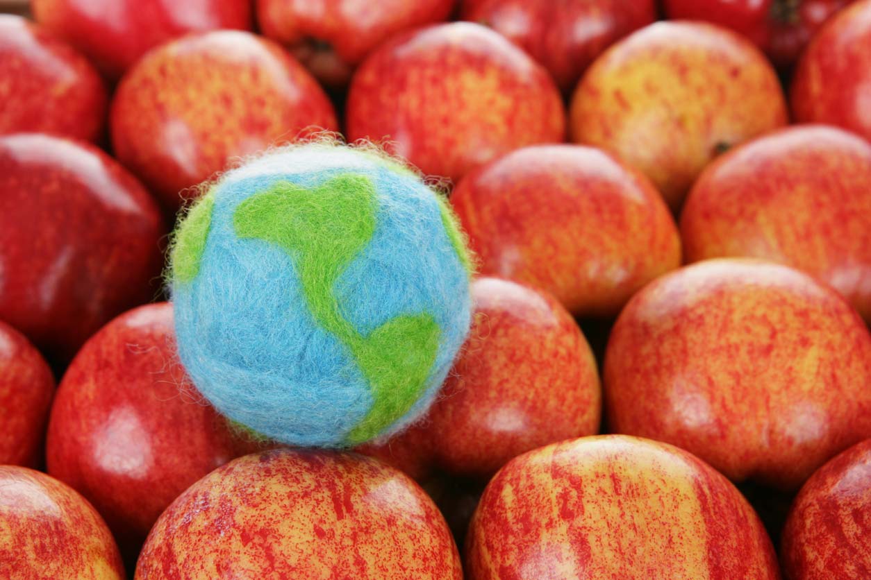 felted globe with apples