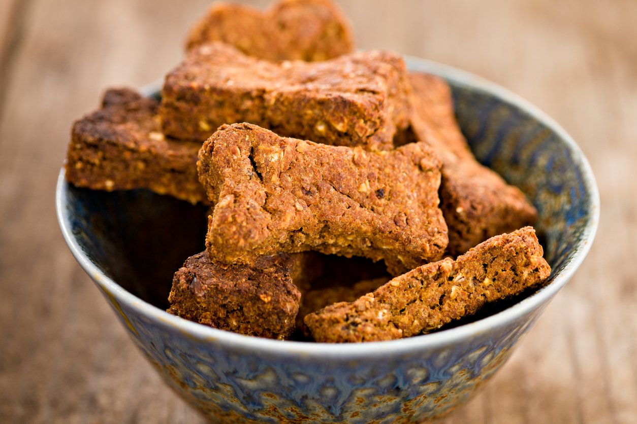 "A high angle close up shot of a blue ceramic bowl full of freshly baked dog biscuits. A very healthy treat for your dog (or cat), made with anchovies, whole wheat, carrots, potato, oats, and ground corn. Rolled out dough, is then cut in little dog bone shapes and baked"