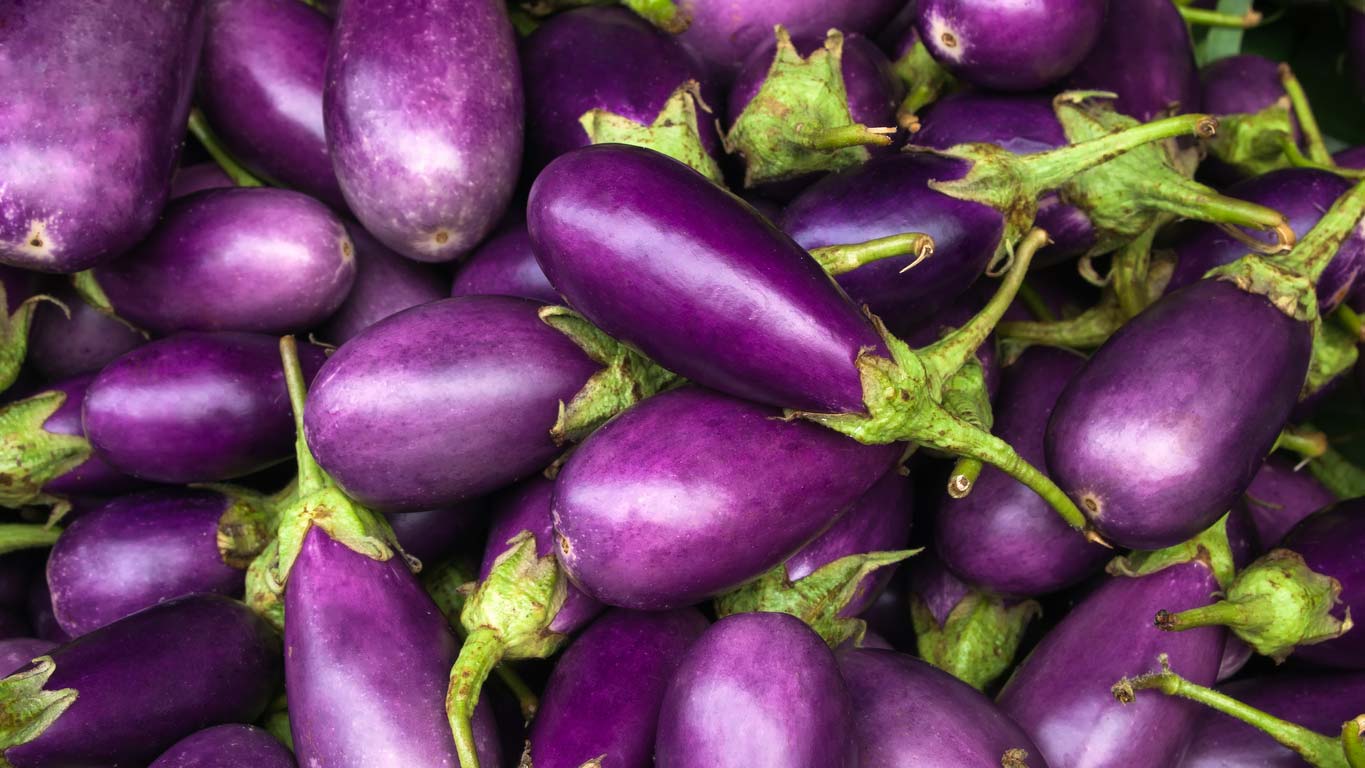 Clean 15 - Eggplants