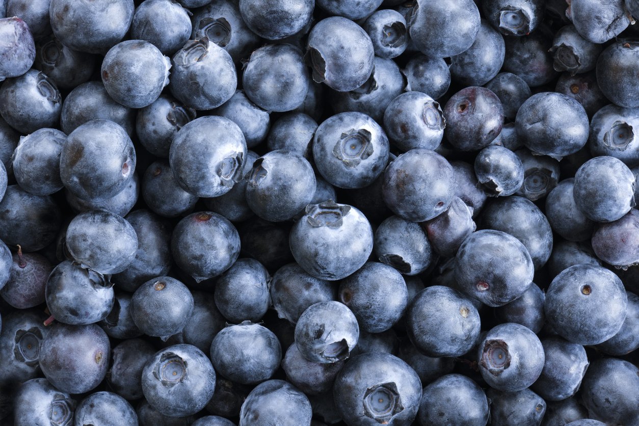 Blueberries are one of the best foods for kidney health