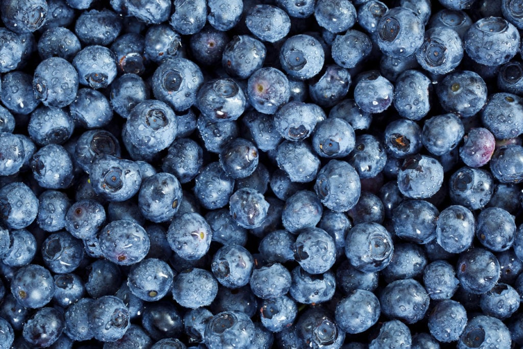 Fresh blueberries background.