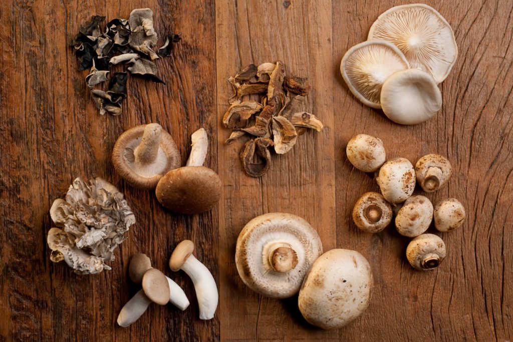 A variety of different mushroom types