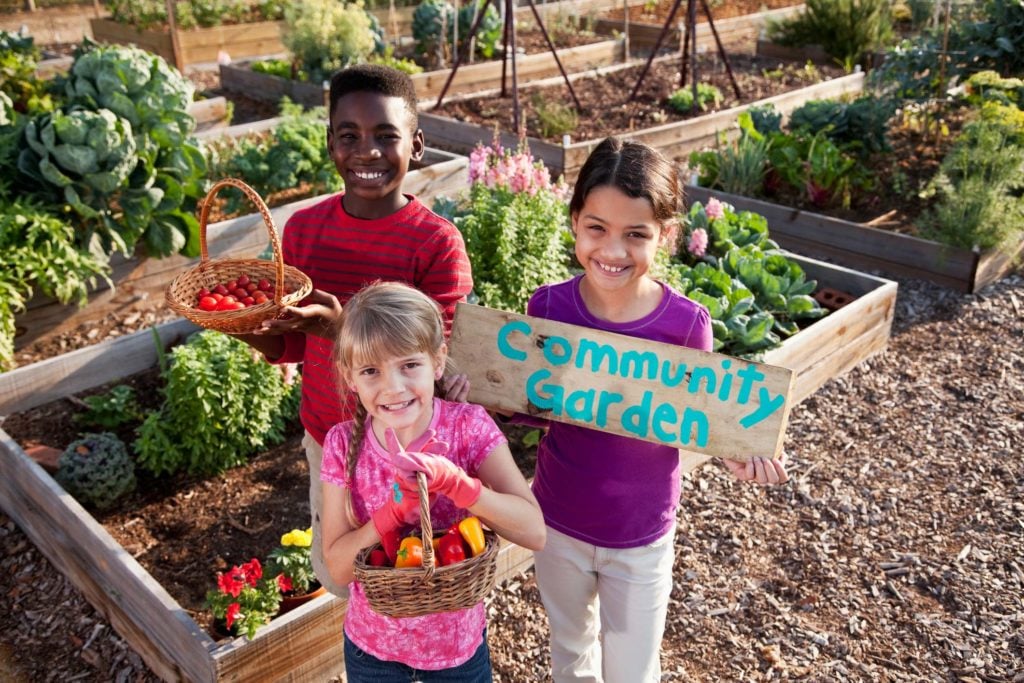 Children in a community garden