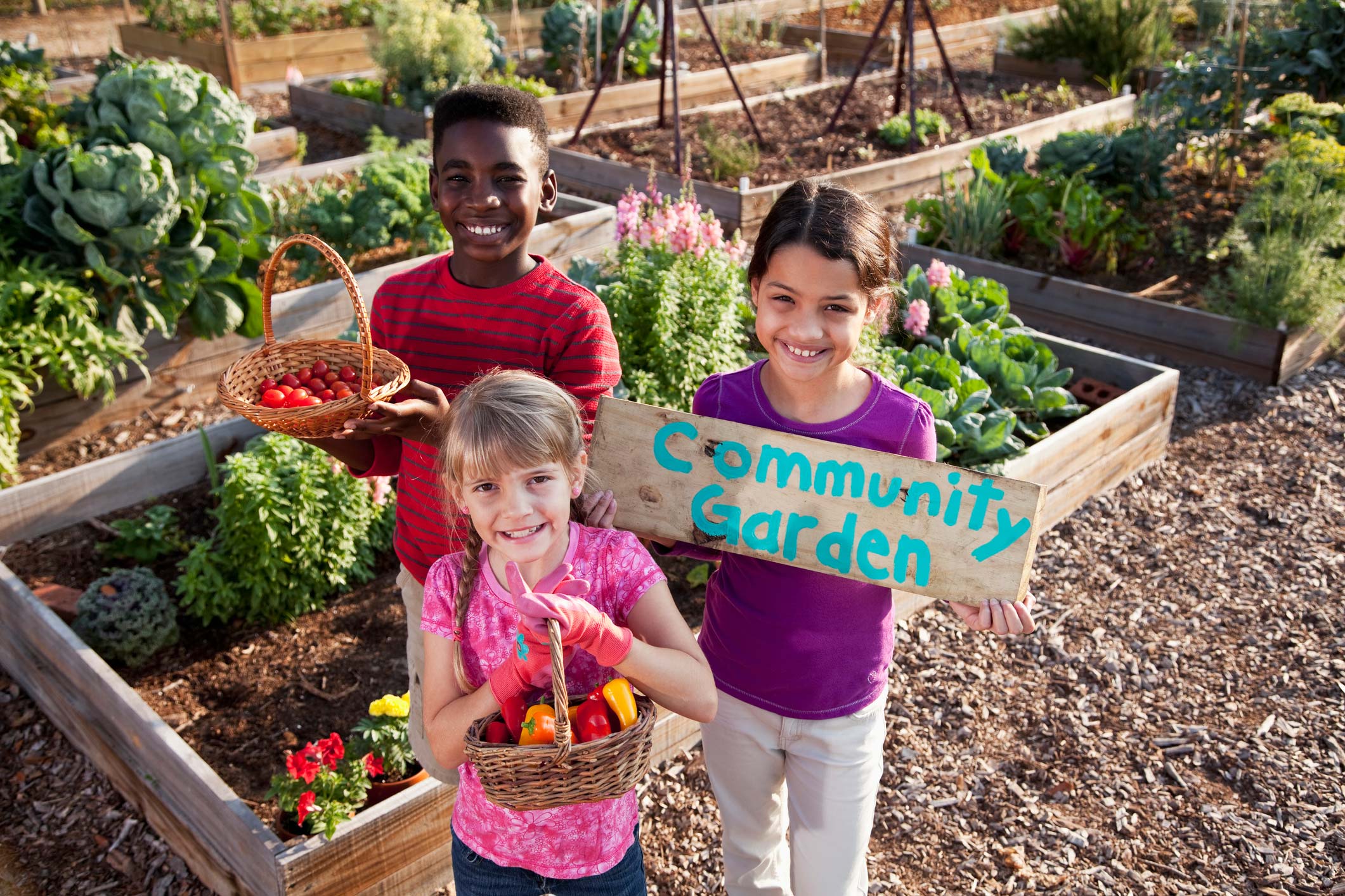 Community Vegetable Garden