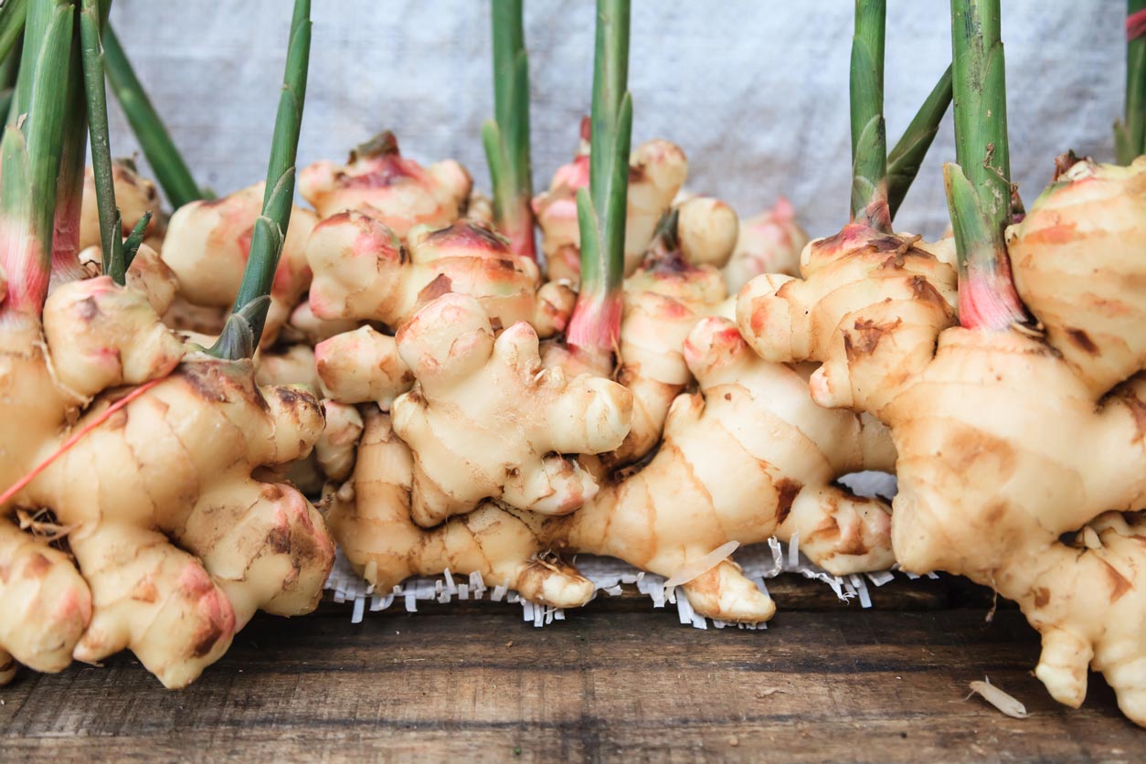 fresh ginger on wood table