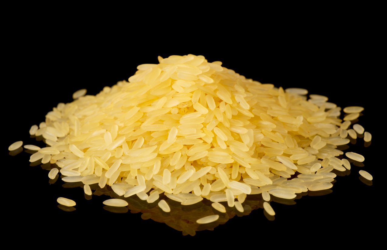 Golden rice in a pile
