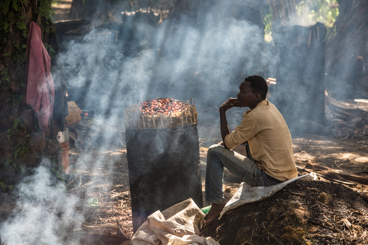 Palm oil - production in Burundi