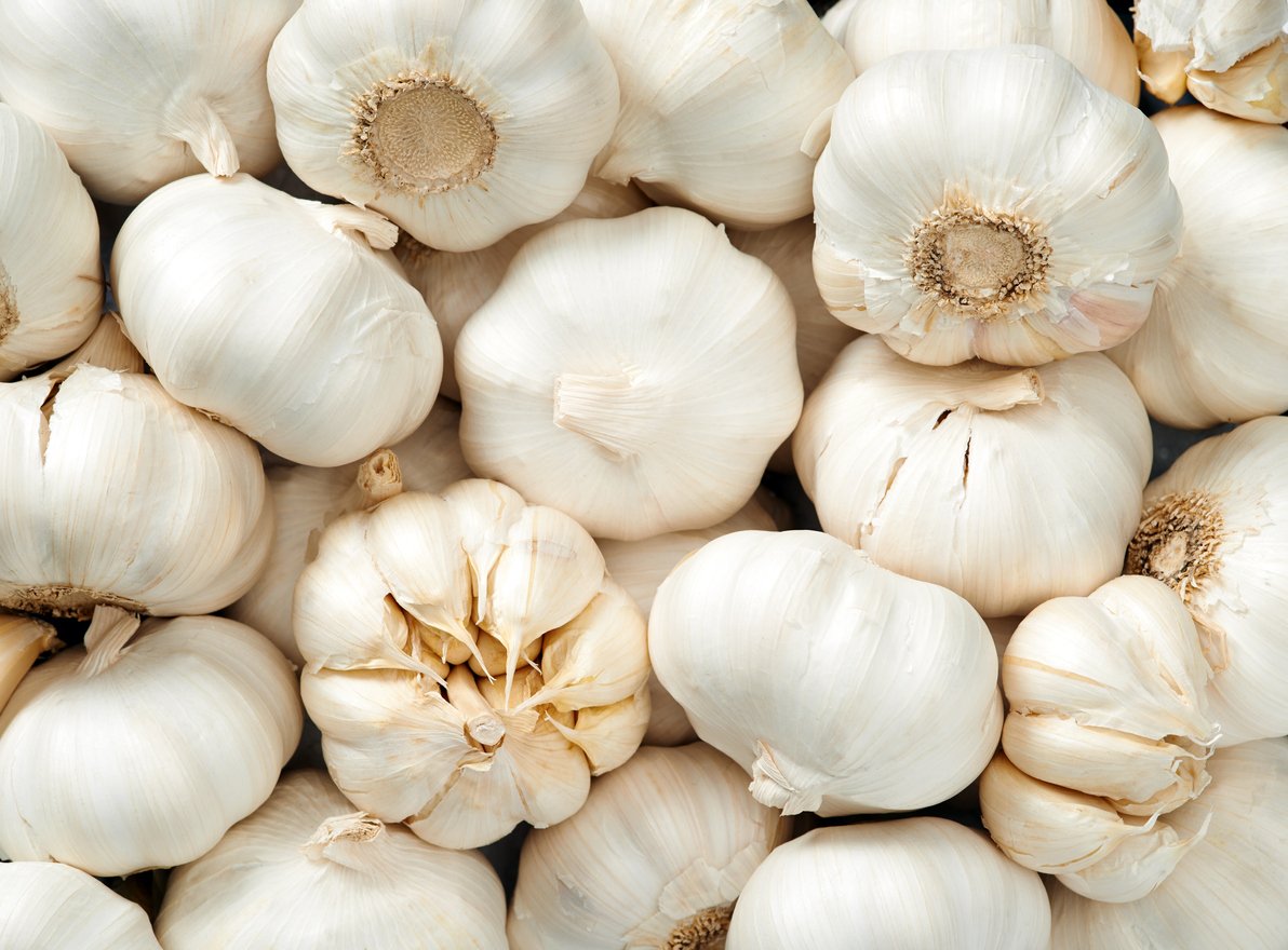 Garlic head Raw fruit and vegetable backgrounds overhead perspective, part of a set collection of healthy organic fresh produce