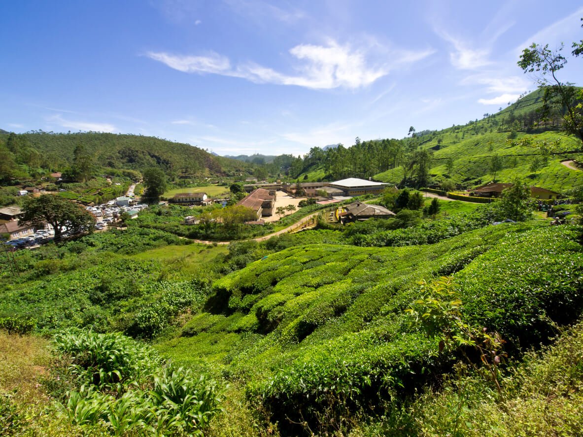 Grassy fields and hills