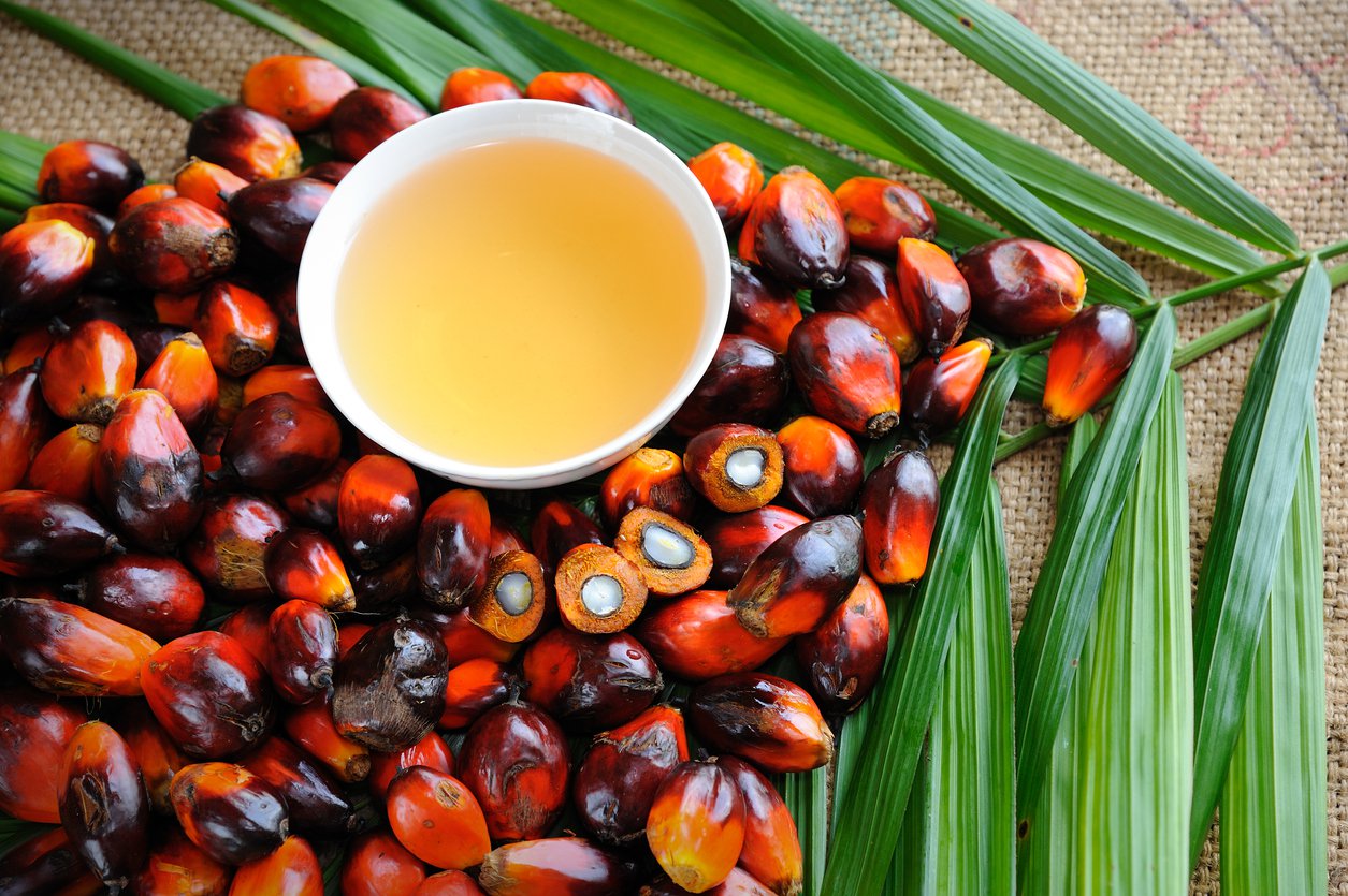 Shocking Facts You Need To Know About Palm Oil