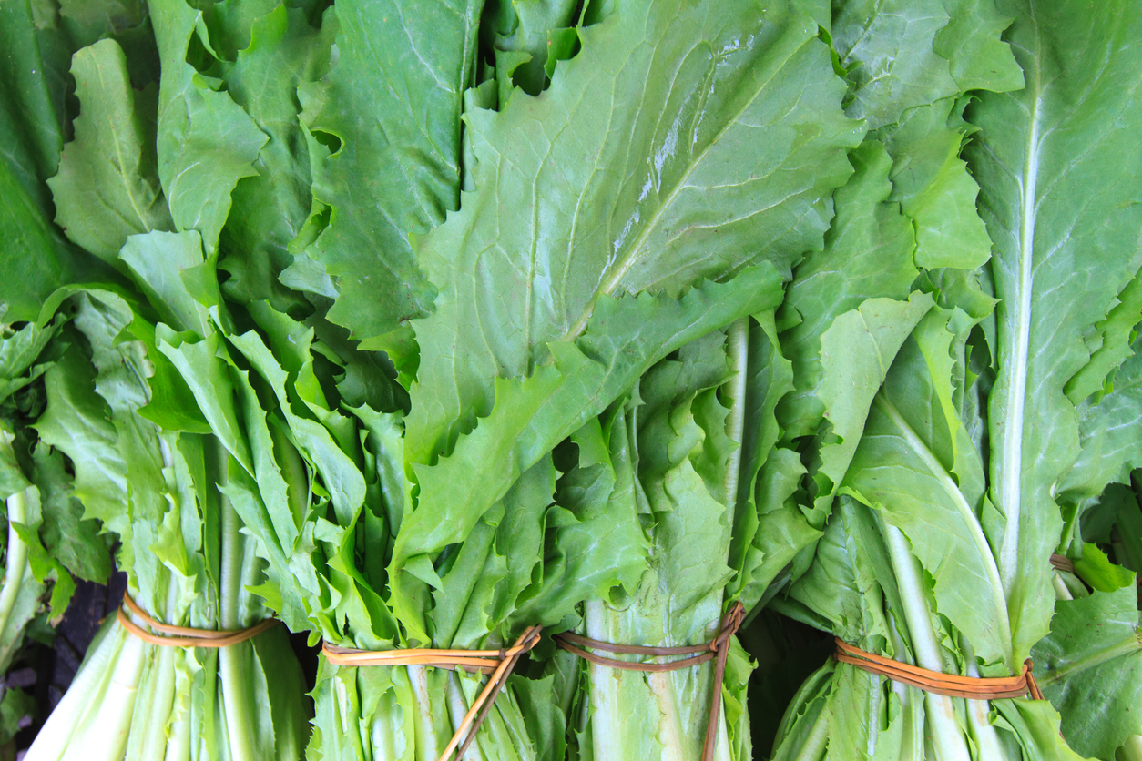 Bunches of Fresh Green Chicory at Spring Market (Close-Up)