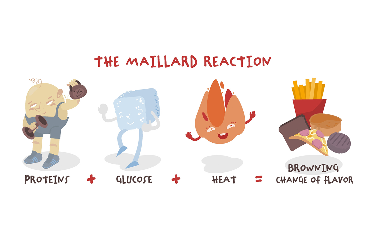 Illustration of the maillard reaction