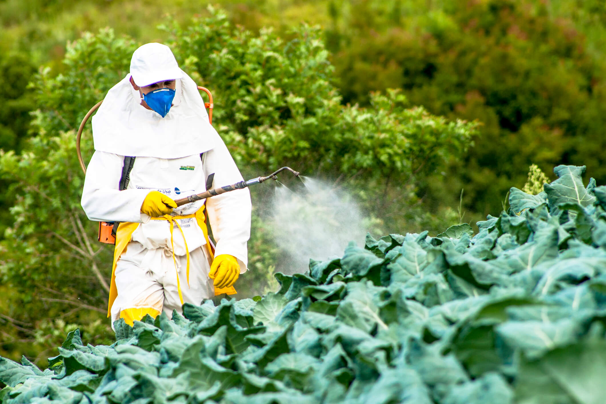 Man spraying pesticides on crops