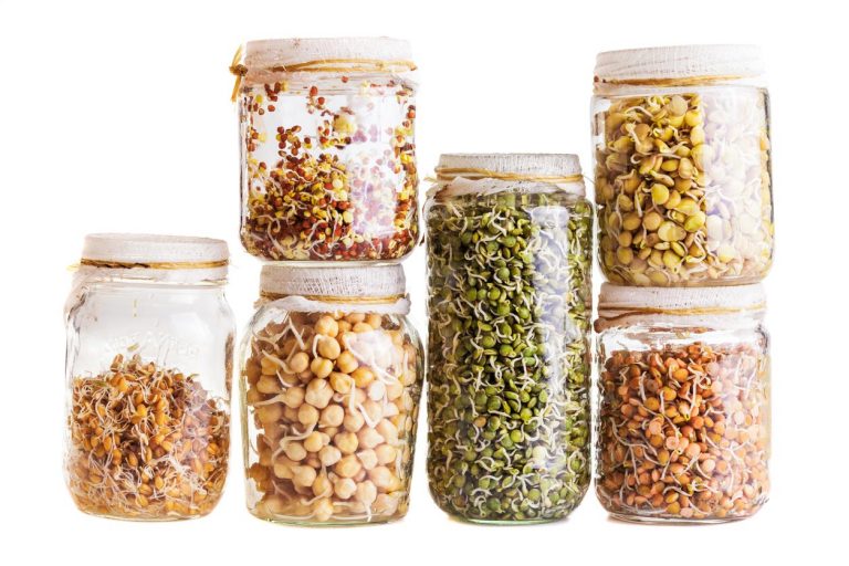 How to Grow Sprouts: The Home-Grown, Nutrient-Packed Food