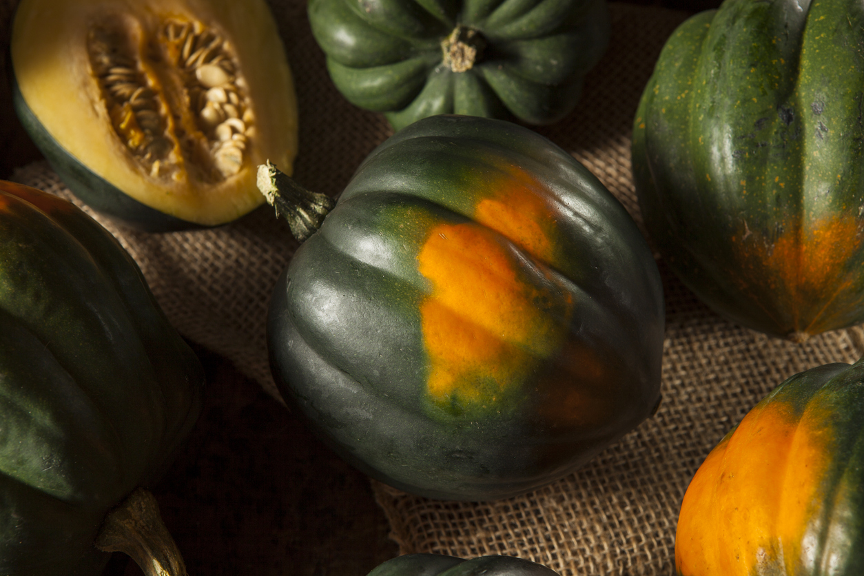 Raw Organic Green and Orange Acorn Squash