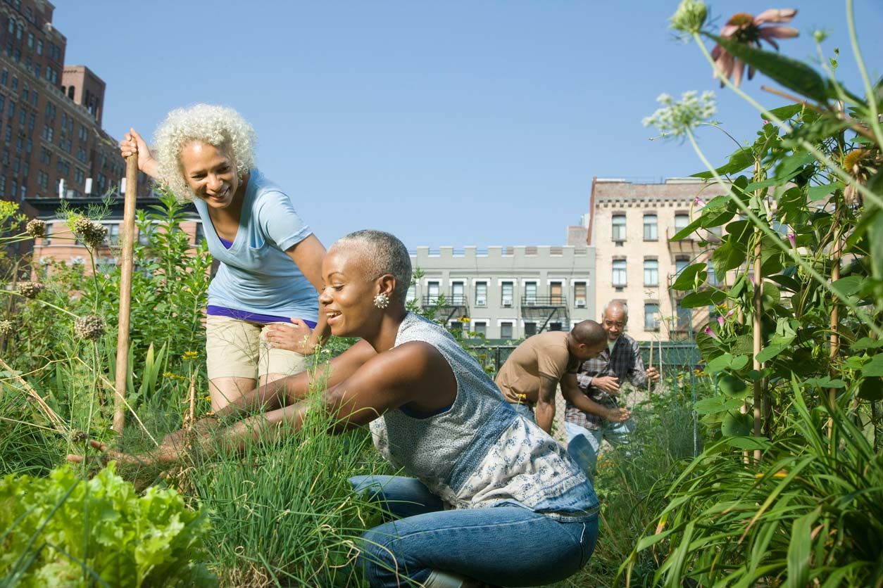 women working in community garden