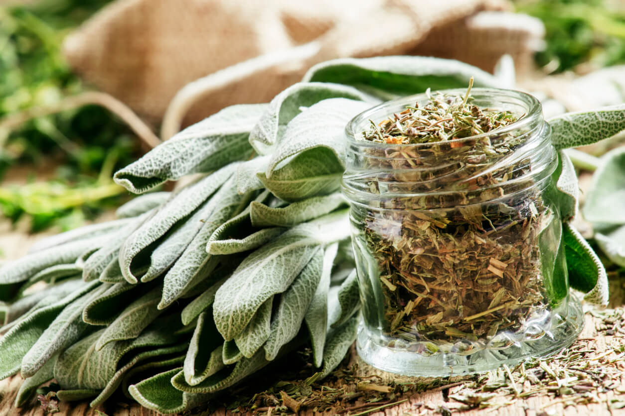 dried sage in a glass jar fresh sage