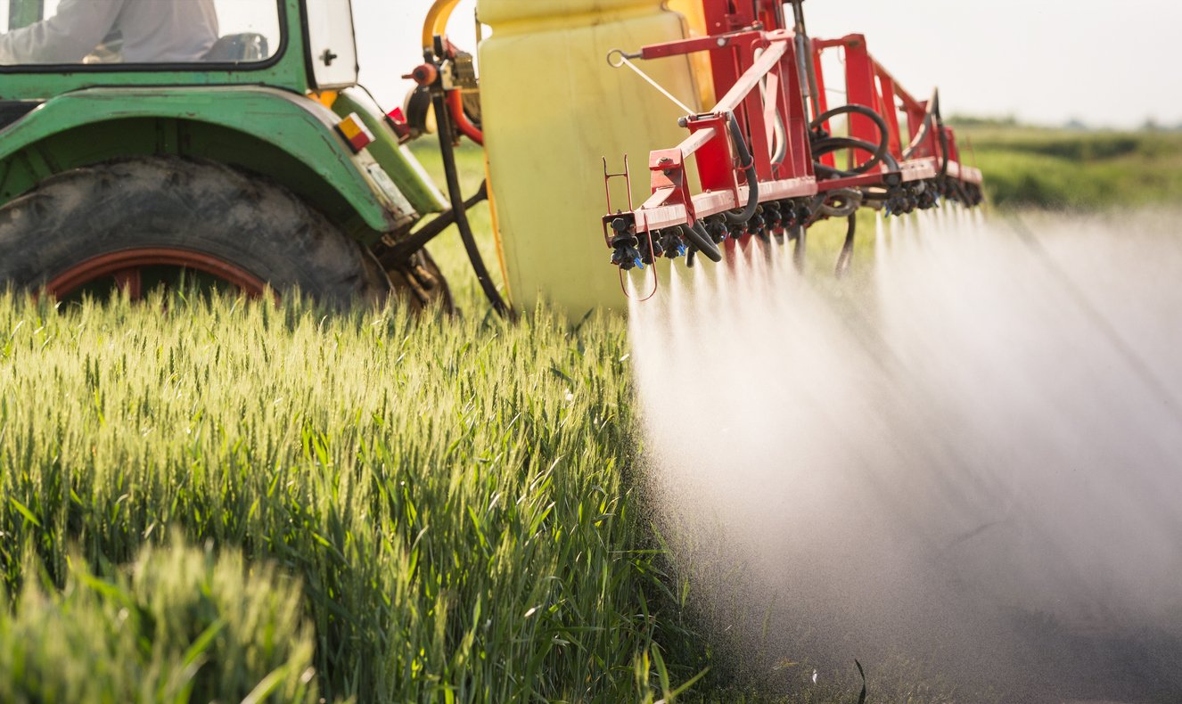 Tractor spraying wheat field with sprayer 